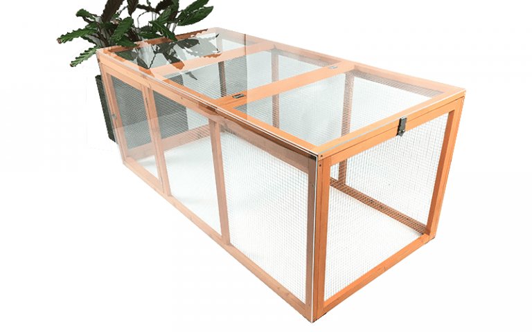 Acrylic chicken coup