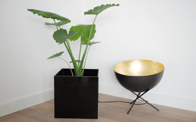 Plastic planter