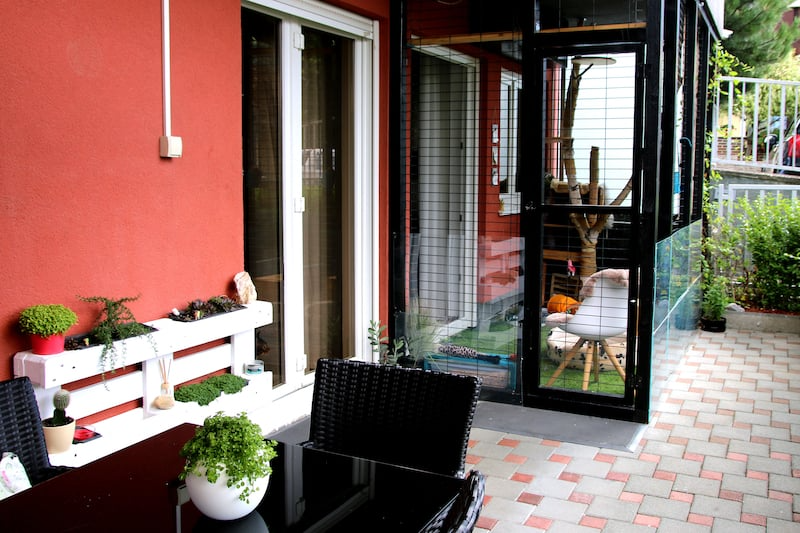 Plastic pet enclosure